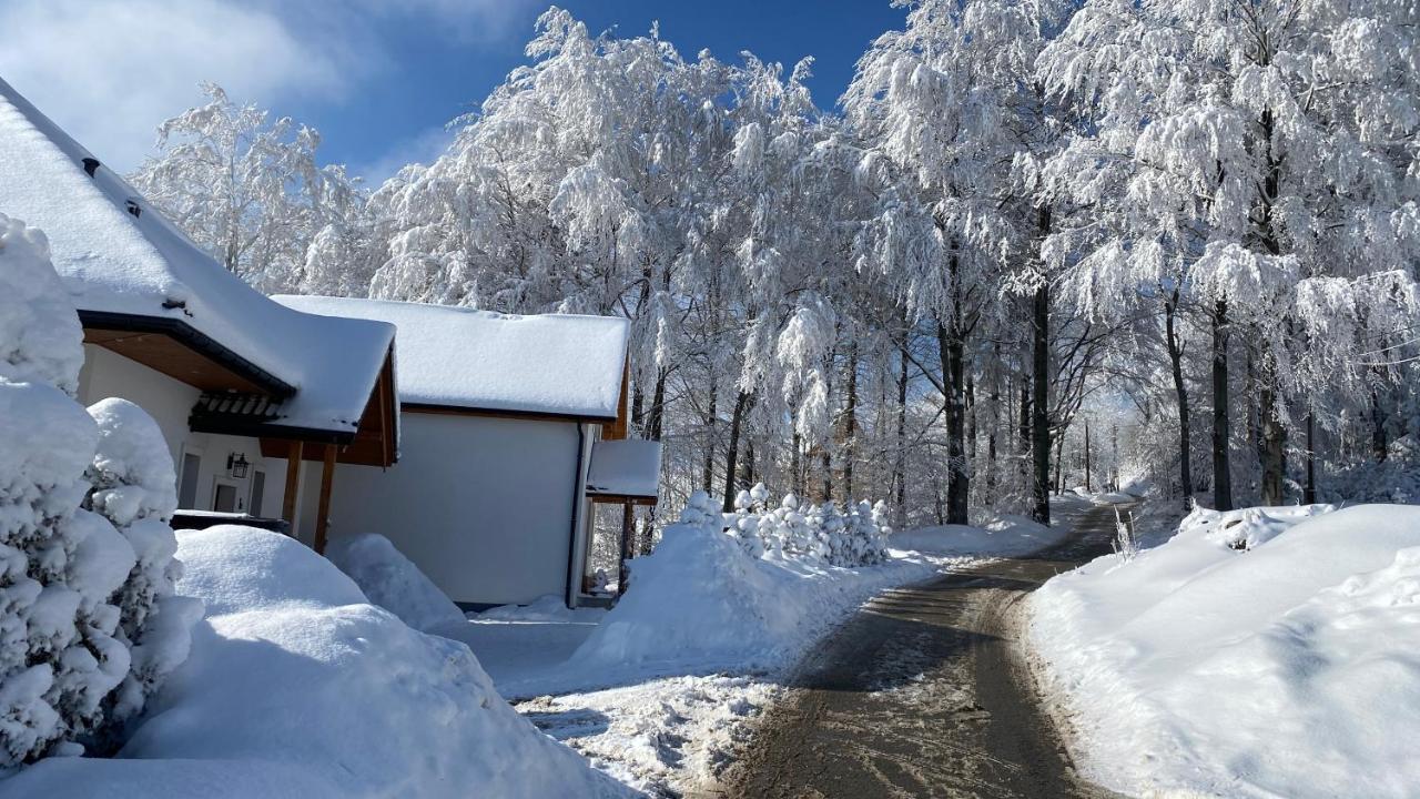 Domek Gościnny Dyziówka Szczyrk Exterior foto