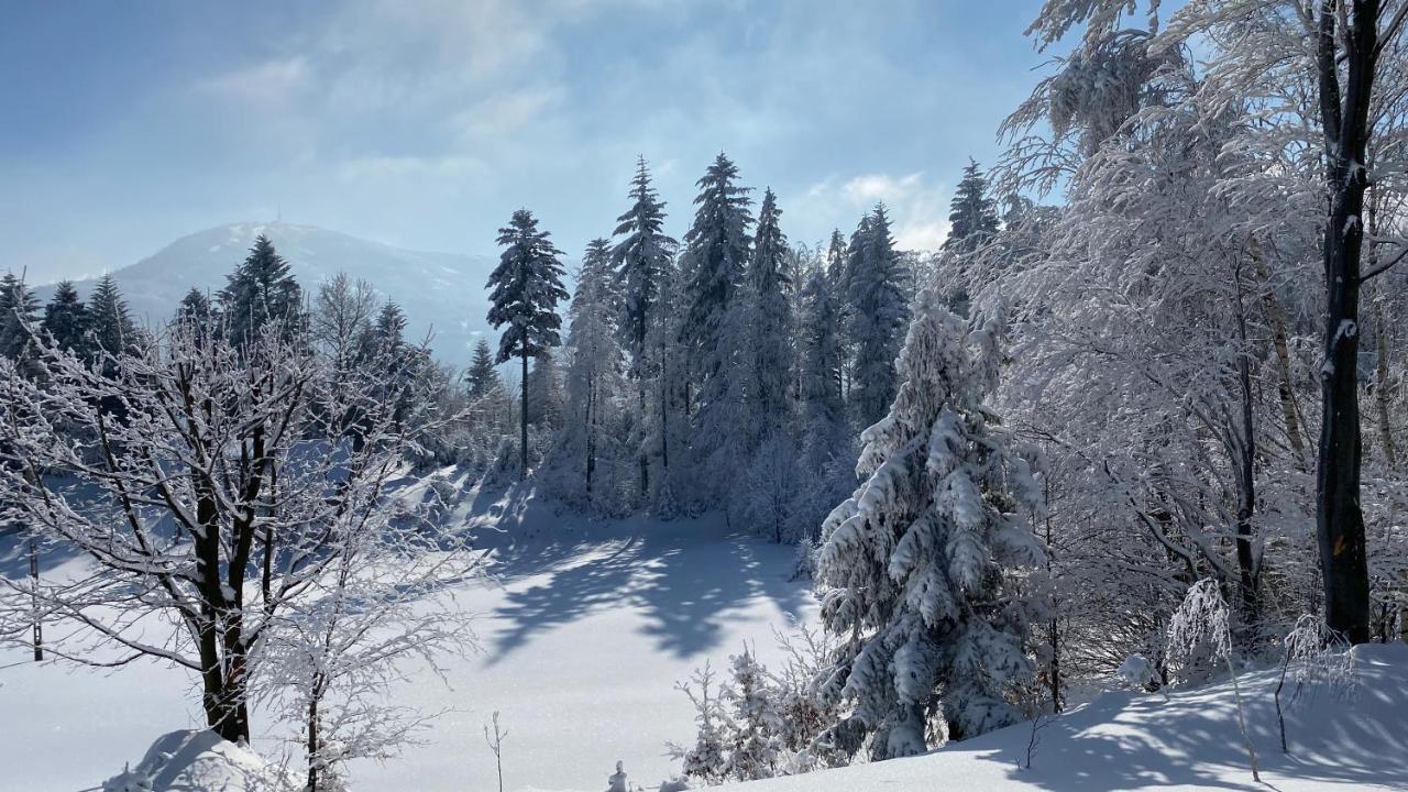 Domek Gościnny Dyziówka Szczyrk Exterior foto